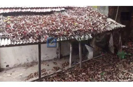 Imagem: Terreno para Venda, Ferrazópolis