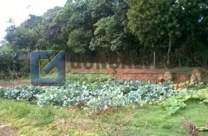 Imagem: Terreno para Venda, Batistini