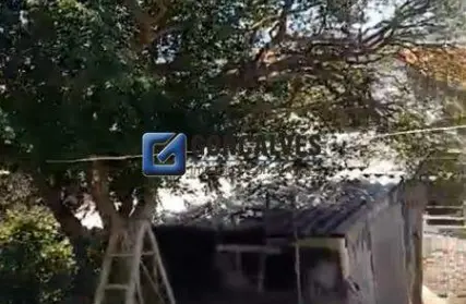 Imagem: Terreno para Venda, Oswaldo Cruz