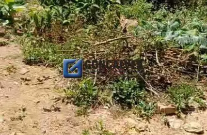 Imagem: Terreno para Venda, Oswaldo Cruz