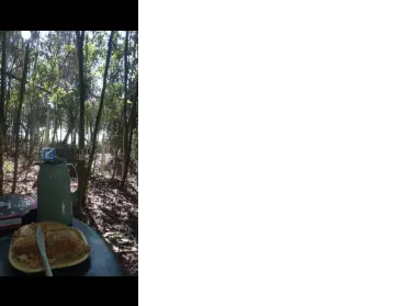 Imagem: Terreno para Venda, Finco