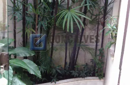 Imagem: Sala Comercial para Alugar, Santa Paula