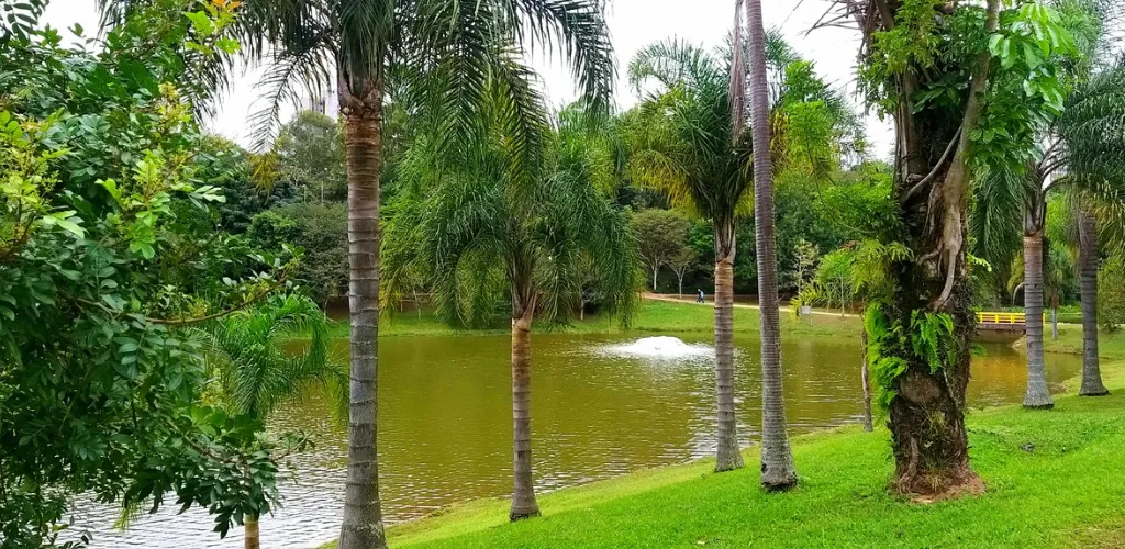 Lançamento Park View