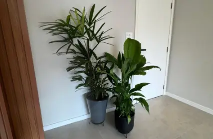 Imagem: Apartamento para Venda, Jardim Utinga