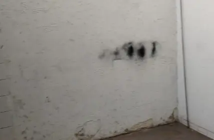 Imagem: Galpão / Salão para Alugar, Anchieta