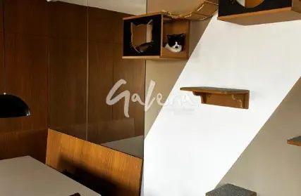 Imagem: Apartamento para Venda, Vila Palmares