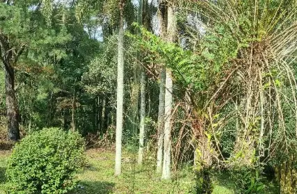 Imagem: Chácara / Sítio para Venda, Vila Bonita