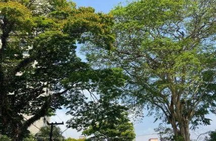 Imagem: Ponto Comercial para Alugar, Jardim