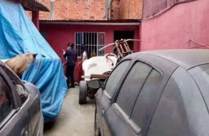 Imagem: Terreno para Venda, Santa Terezinha