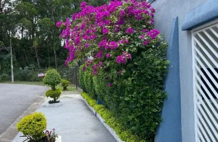 Imagem: Sobrado para Venda, Jardim Las Vegas