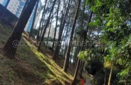 Imagem: Apartamento para Venda, Santa Terezinha