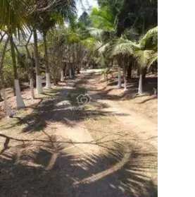 Imagem: Terreno para Venda, Quarta Divisão