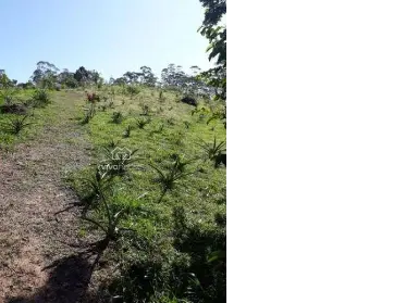 Imagem: Terreno para Venda, Quarta Divisão