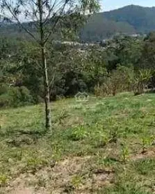 Imagem: Terreno para Venda, Quarta Divisão