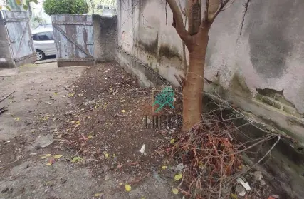 Imagem: Terreno para Venda, Vila Santa Luzia