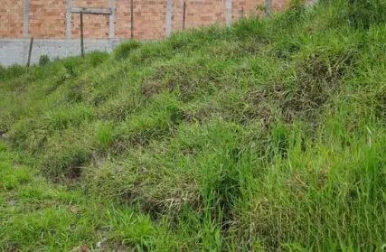 Imagem: Terreno para Venda, Condomínio Maracanã