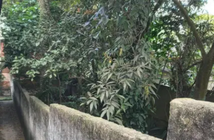 Imagem: Terreno para Venda, Vila Assunção