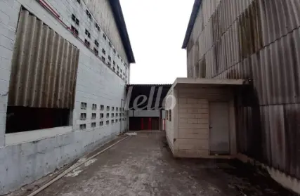 Imagem: Galpão / Salão para Alugar, Vila Euclides