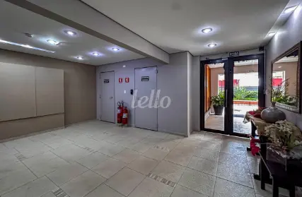 Imagem: Apartamento para Alugar, Vila Guiomar