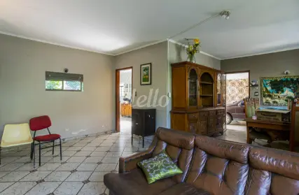 Imagem: Casa Comercial para Alugar, Santa Teresinha