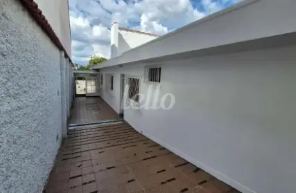 Imagem: Casa Comercial para Alugar, Campestre