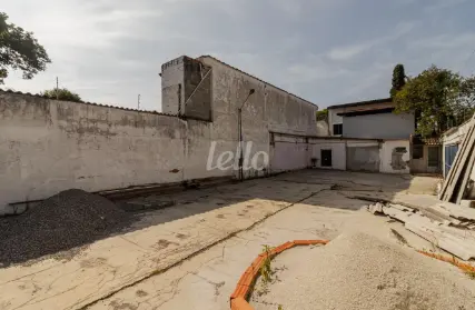 Imagem: Terreno para Alugar, Jardim do Mar