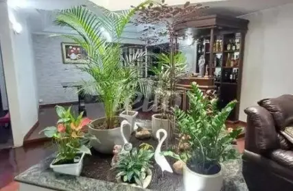 Imagem: Casa Comercial para Alugar, Vila Euclides