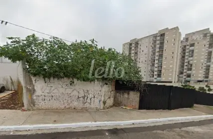 Imagem: Terreno para Alugar, Vila Metalúrgica