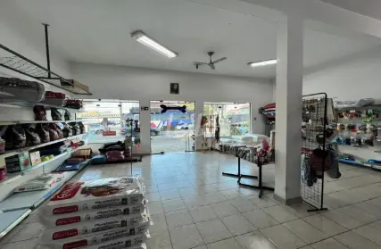 Imagem: Casa Comercial para Alugar, Campestre