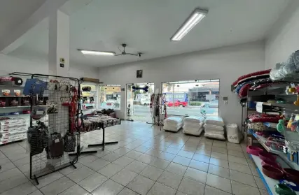 Imagem: Casa Comercial para Alugar, Campestre