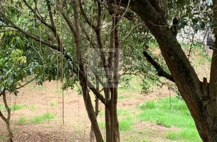 Imagem: Terreno para Venda, Vila Príncipe de Gales