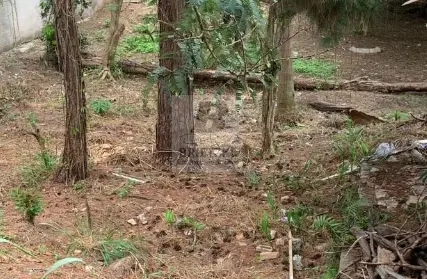 Imagem: Terreno para Venda, Vila Príncipe de Gales