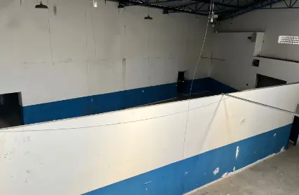 Imagem: Galpão / Salão para Alugar, Jardim Itapeva