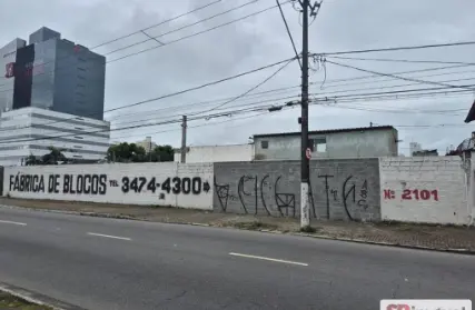 Imagem: Terreno para Alugar, Guilhermina