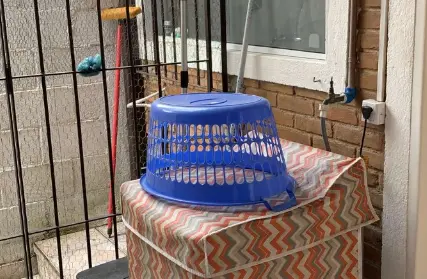 Imagem: Casa Térrea para Venda, Itaguá