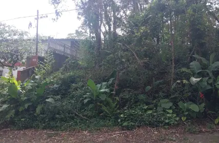Imagem: Terreno para Venda, Praia da Cocanha