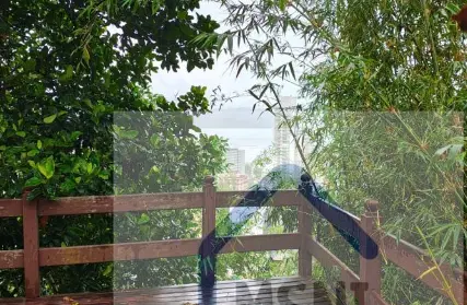 Imagem: Sobrado para Alugar, Marapé