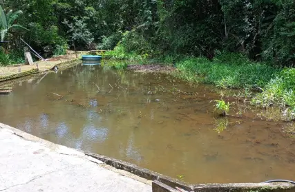Imagem: Sobrado para Venda, Jardim São Francisco