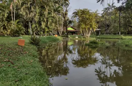 Imagem: Chácara / Sítio para Venda, Jardim São Francisco