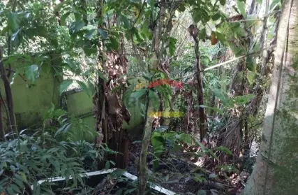 Imagem: Sobrado para Venda, Morro dos Barbosas
