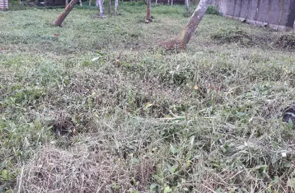 Imagem: Terreno para Venda, Praia dos Pescadores