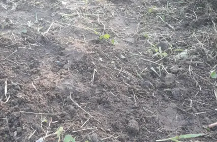 Imagem: Terreno para Venda, Praia dos Pescadores
