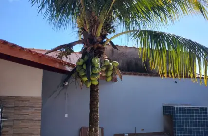 Imagem: Casa Térrea para Venda, Balneário Tupy 