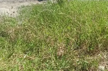 Imagem: Terreno para Venda, Cibratel II