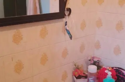 Imagem: Casa Térrea para Venda, Suarão