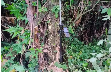 Imagem: Terreno para Venda, Jardim Casqueiro