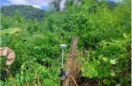 Imagem: Terreno para Venda, Jardim Casqueiro