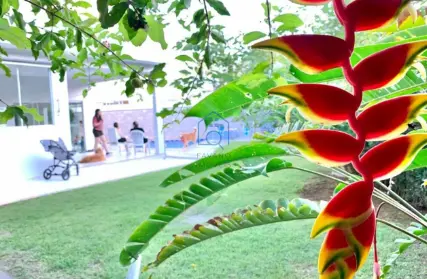 Imagem: Casa Térrea para Venda, Costa do Sol