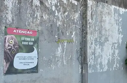 Imagem: Casa Térrea para Venda, Balneário Jussara
