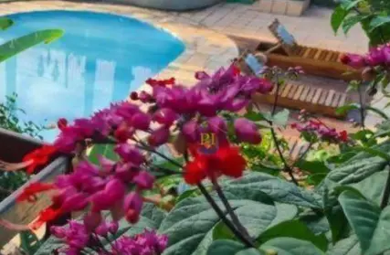 Imagem: Casa Comercial para Venda, Flórida